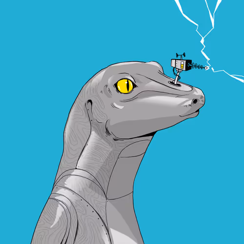 The Lizard Lab