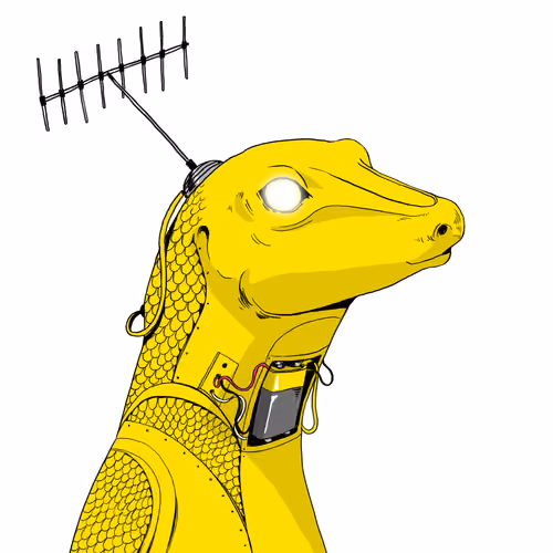 Lizard #3034