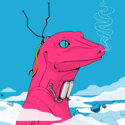 Lizard #13