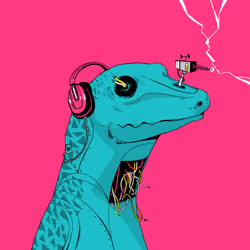 Lizard #570