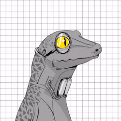 Lizard #4100