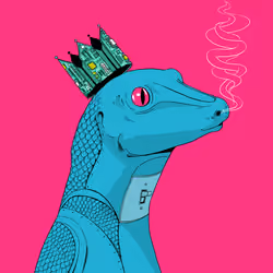 Lizard #3718