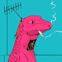 Lizard #3021