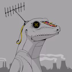Lizard #2273