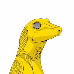Lizard #4708