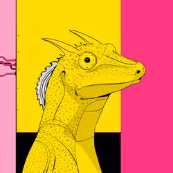 Lizard #4662