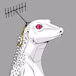 1505