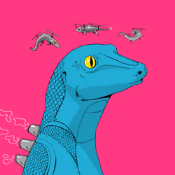 Lizard #3566