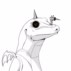 Lizard #4078