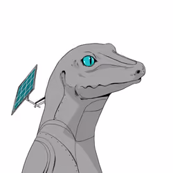 Lizard #3046