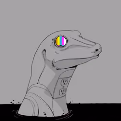 Lizard #4479