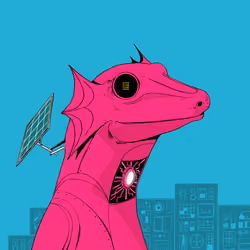Lizard #662
