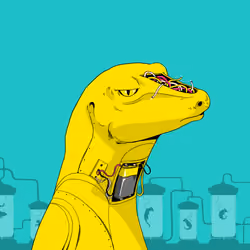 Lizard #3517