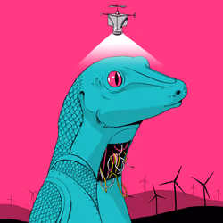 Lizard #3147