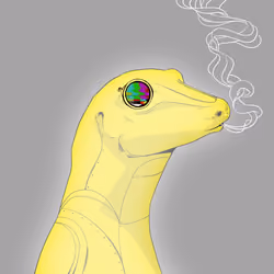 Lizard #4595
