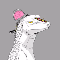 Lizard #3439