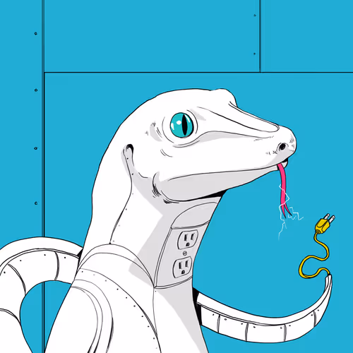 The Lizard Lab