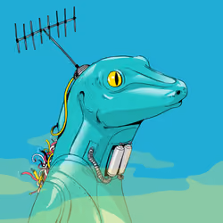 Lizard #477