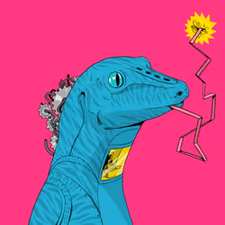 Lizard #2528