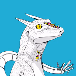 Lizard #764