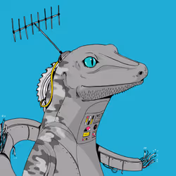 Lizard #132