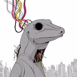Lizard #2314