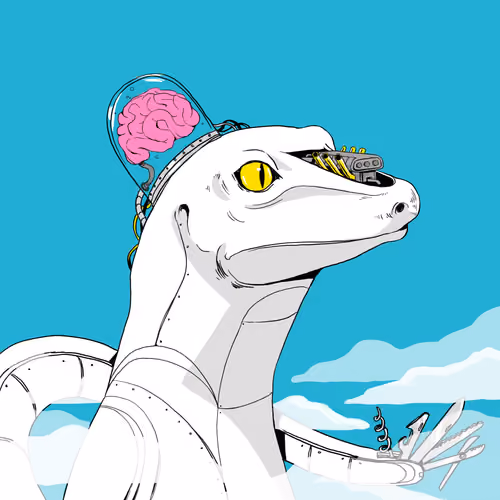 Lizard #383