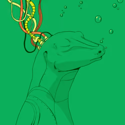 Lizard #2474