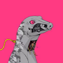 Lizard #2902
