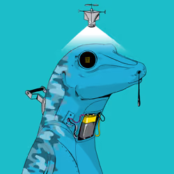 Lizard #2878
