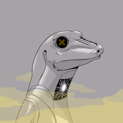 Lizard #808