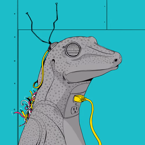 Lizard #2857
