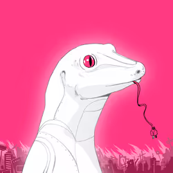 Lizard #1682