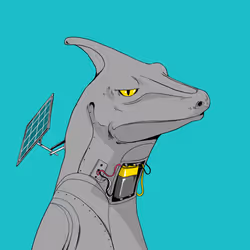 Lizard #797