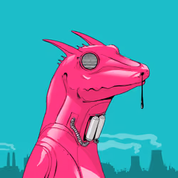 Lizard #3803