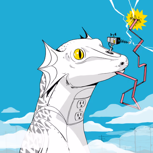 Lizard #298