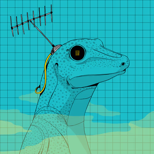 The Lizard Lab