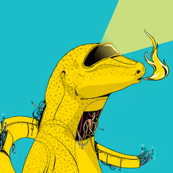 Lizard #2590