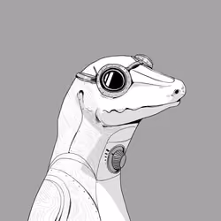 Lizard #2598