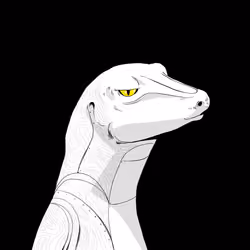 Lizard #2479