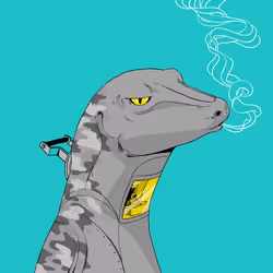 Lizard #796