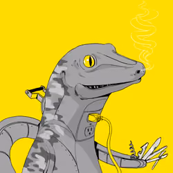Lizard #3375