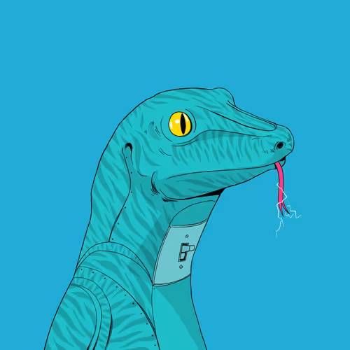 Lizard #278