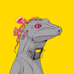Lizard #3381