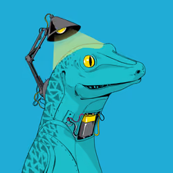 Lizard #1545