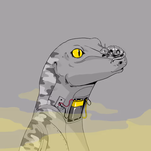 The Lizard Lab