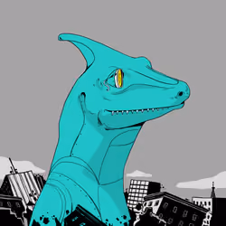 Lizard #3146