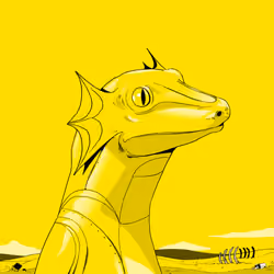 Lizard #4878