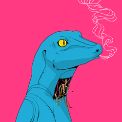 Lizard #1827