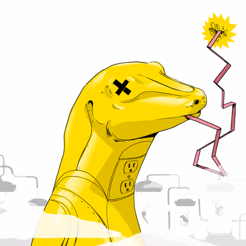 The Lizard Lab